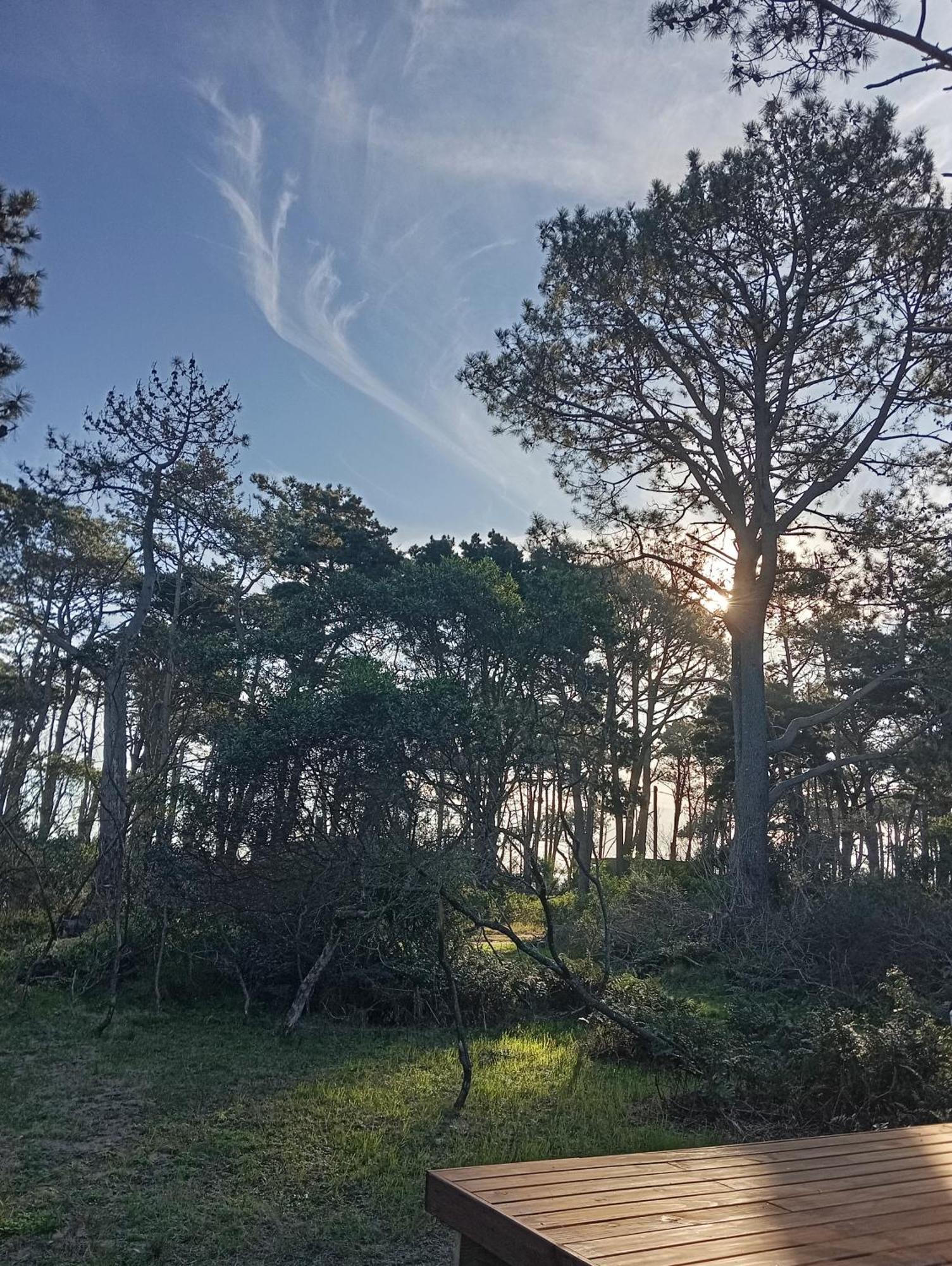 Kimaca Villa José Ignacio Eksteriør billede